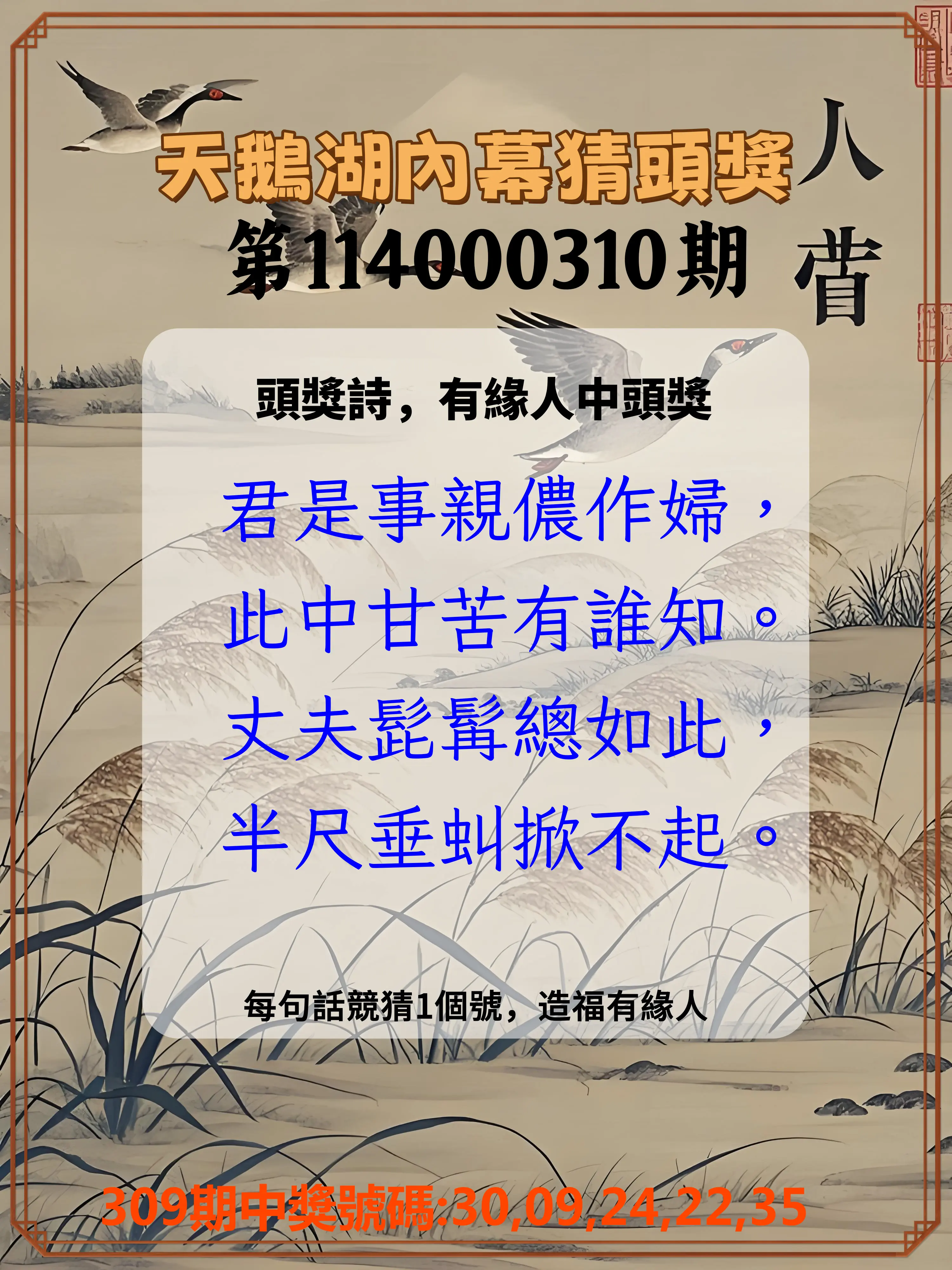 今彩539第114000310期(12/24)天鵝湖內幕猜頭獎