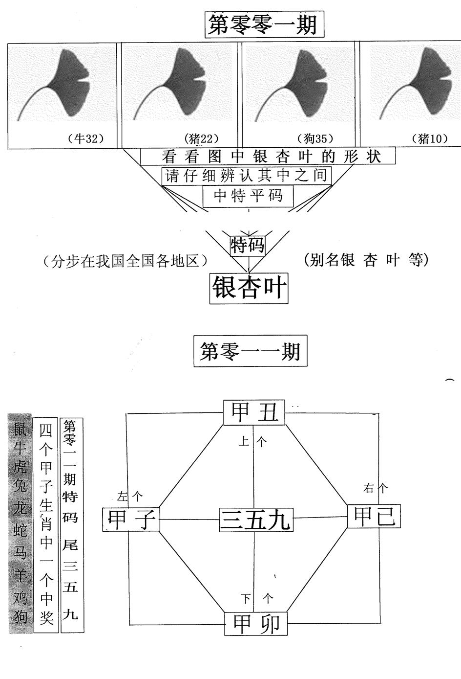六合彩001期每期一花草(黑白)