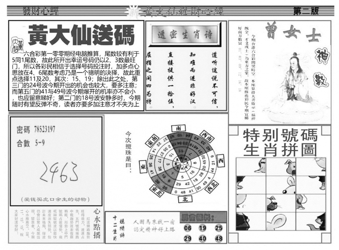 六合彩100期当日玄机B(黑白)