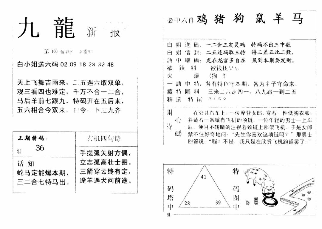 六合彩100期九龙新报(新)(黑白)