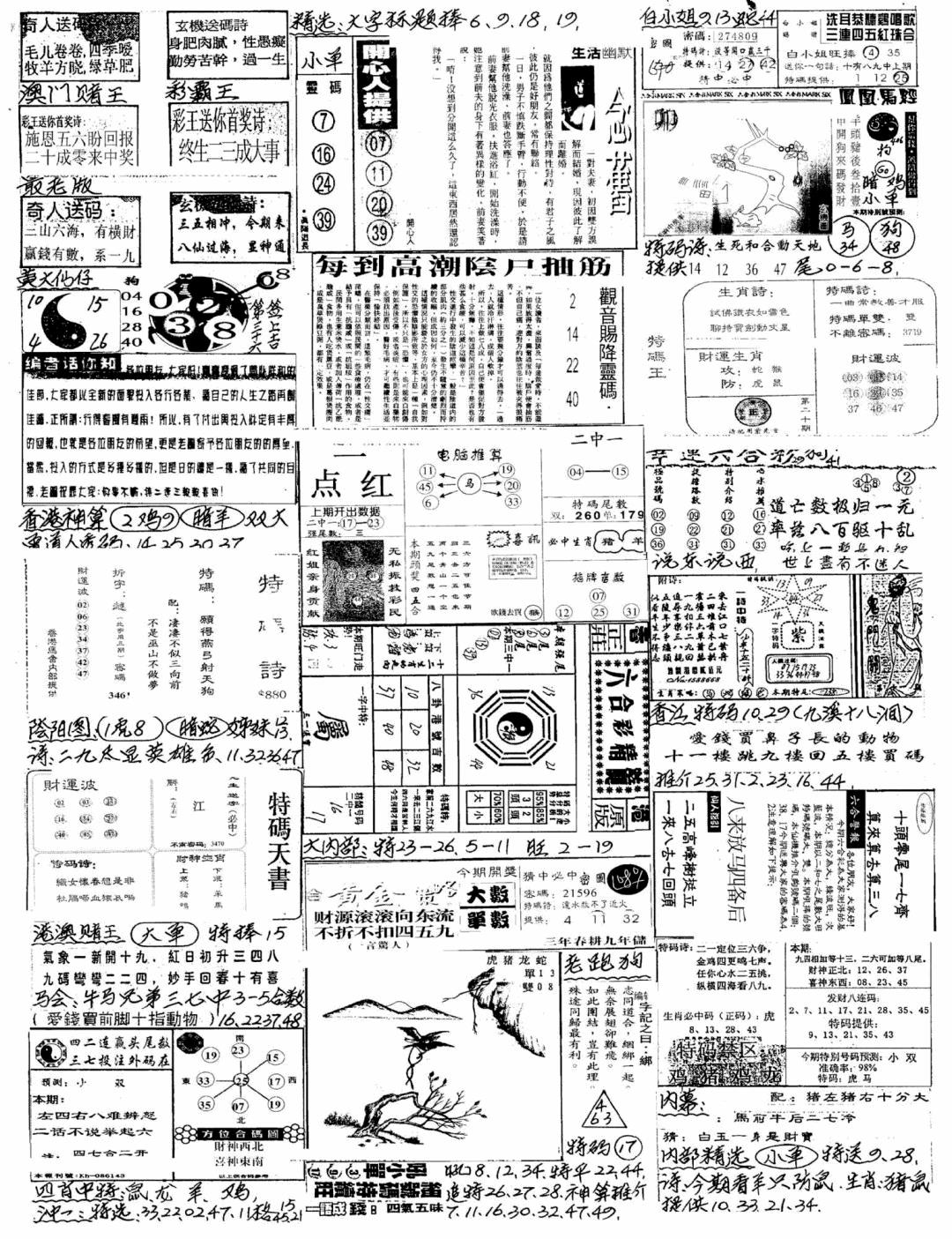 六合彩100期新版手写综合资料B(黑白)