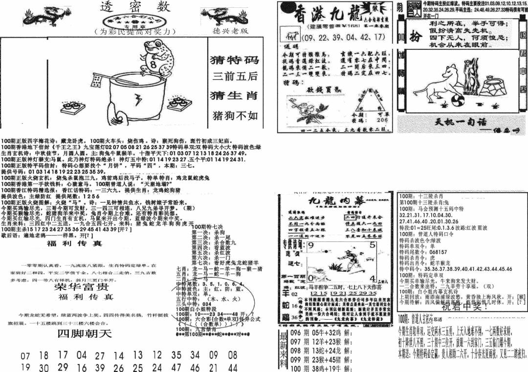 六合彩100期新透密数A(新)(黑白)
