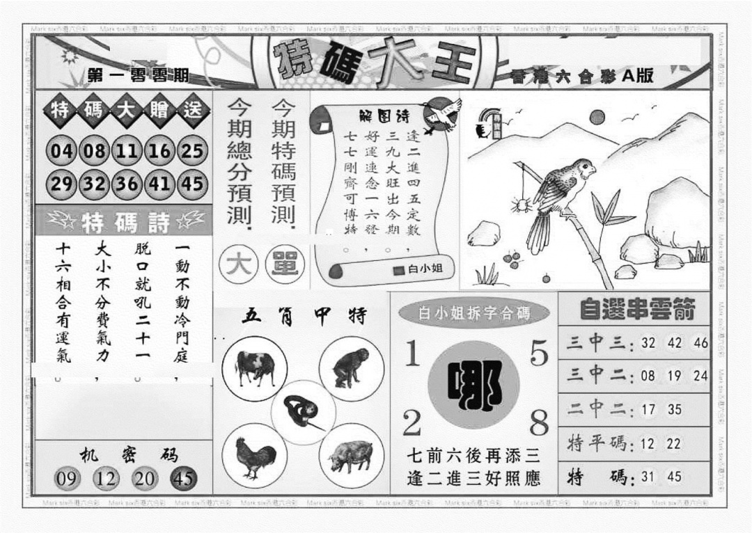 六合彩100期特码大王A（新图）(黑白)