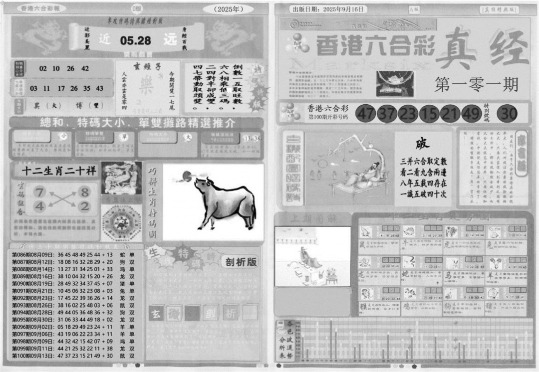 六合彩101期真经A(黑白)
