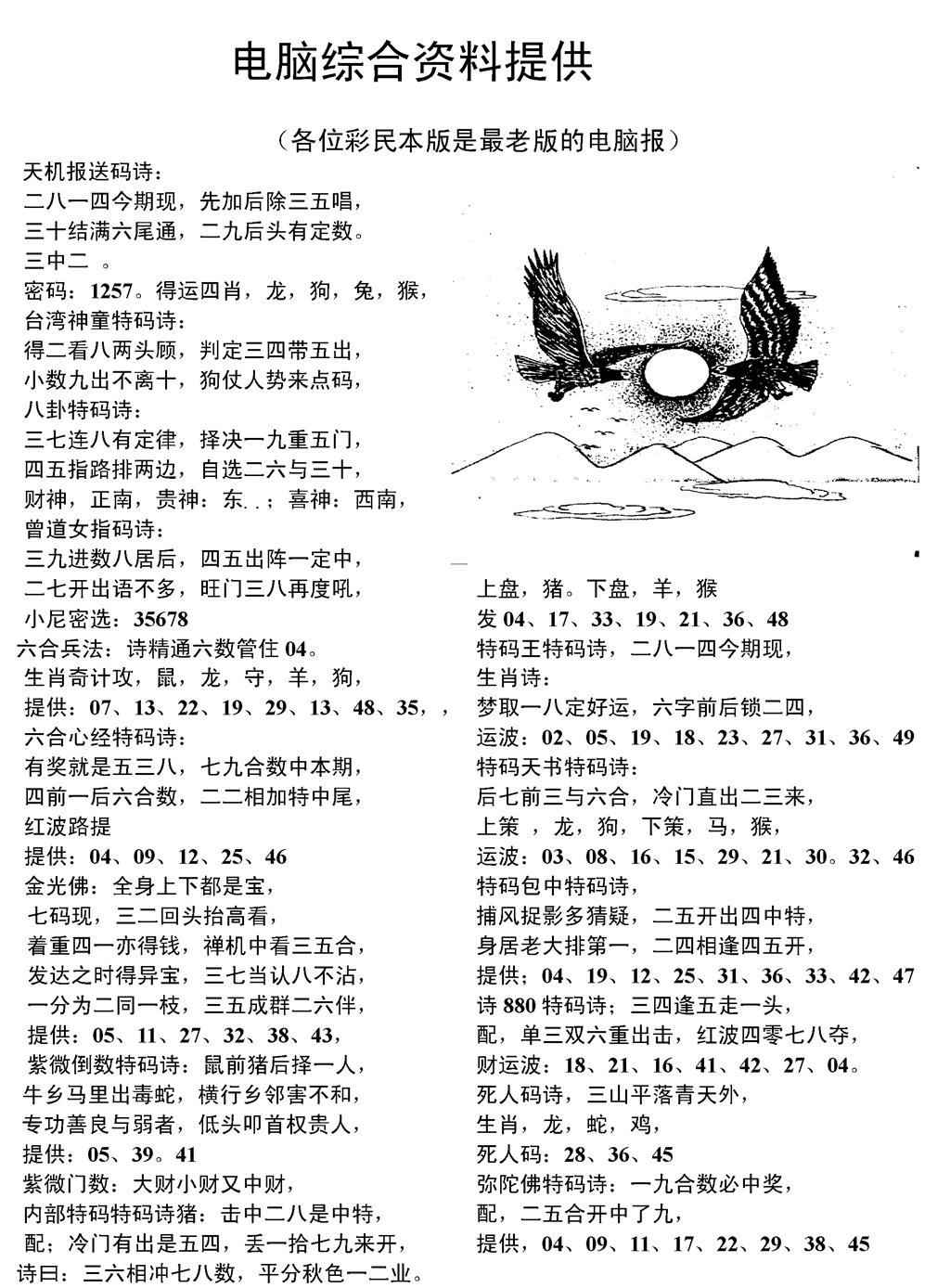 六合彩101期当日电脑综合资料C(黑白)