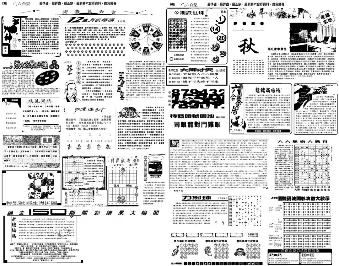 六合彩101期另版六合皇B(黑白)