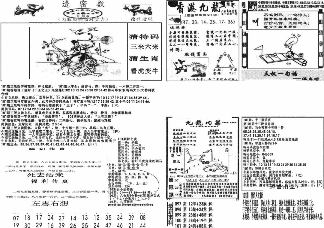 六合彩101期新透密数A(新)(黑白)