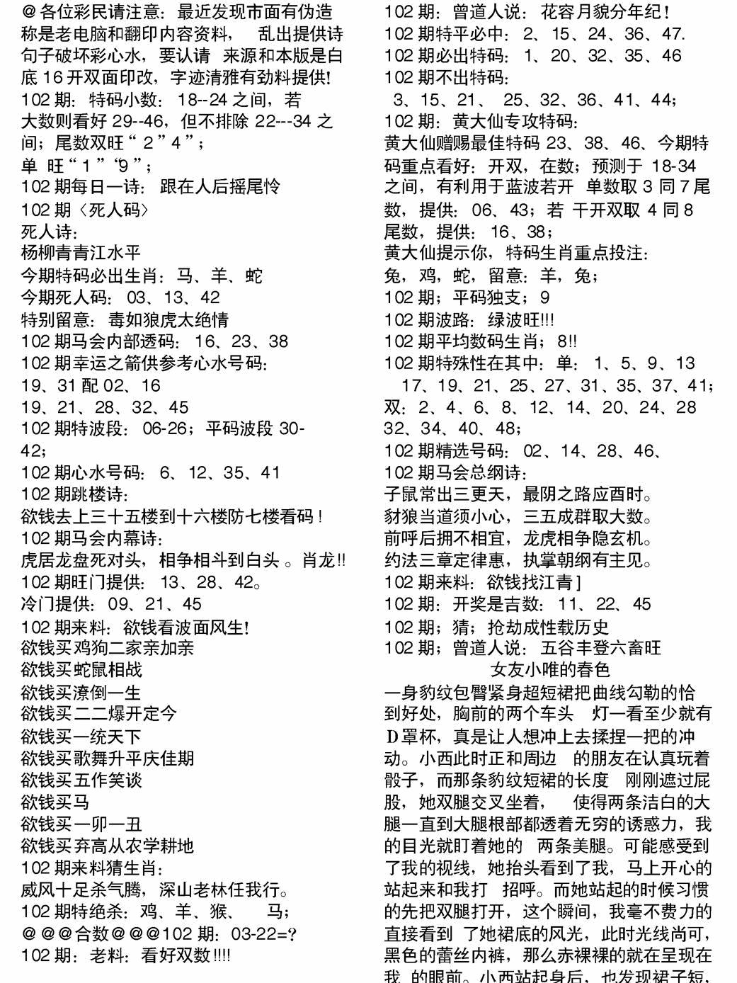 六合彩102期当日电脑综合资料B(黑白)