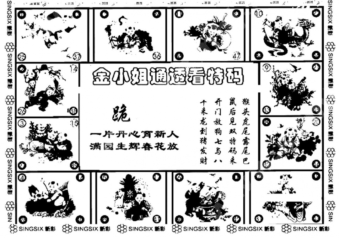 六合彩102期金小姐点醒B(黑白)