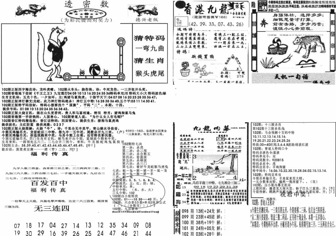 六合彩102期新透密数A(新)(黑白)
