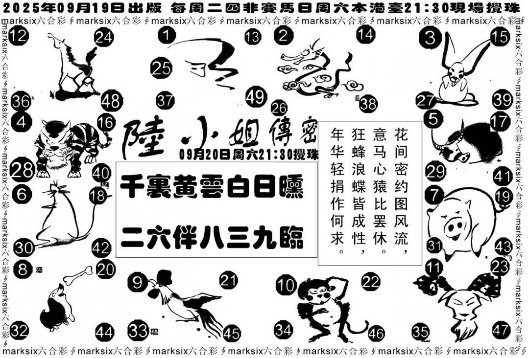 六合彩103期陆小姐传密B(黑白)