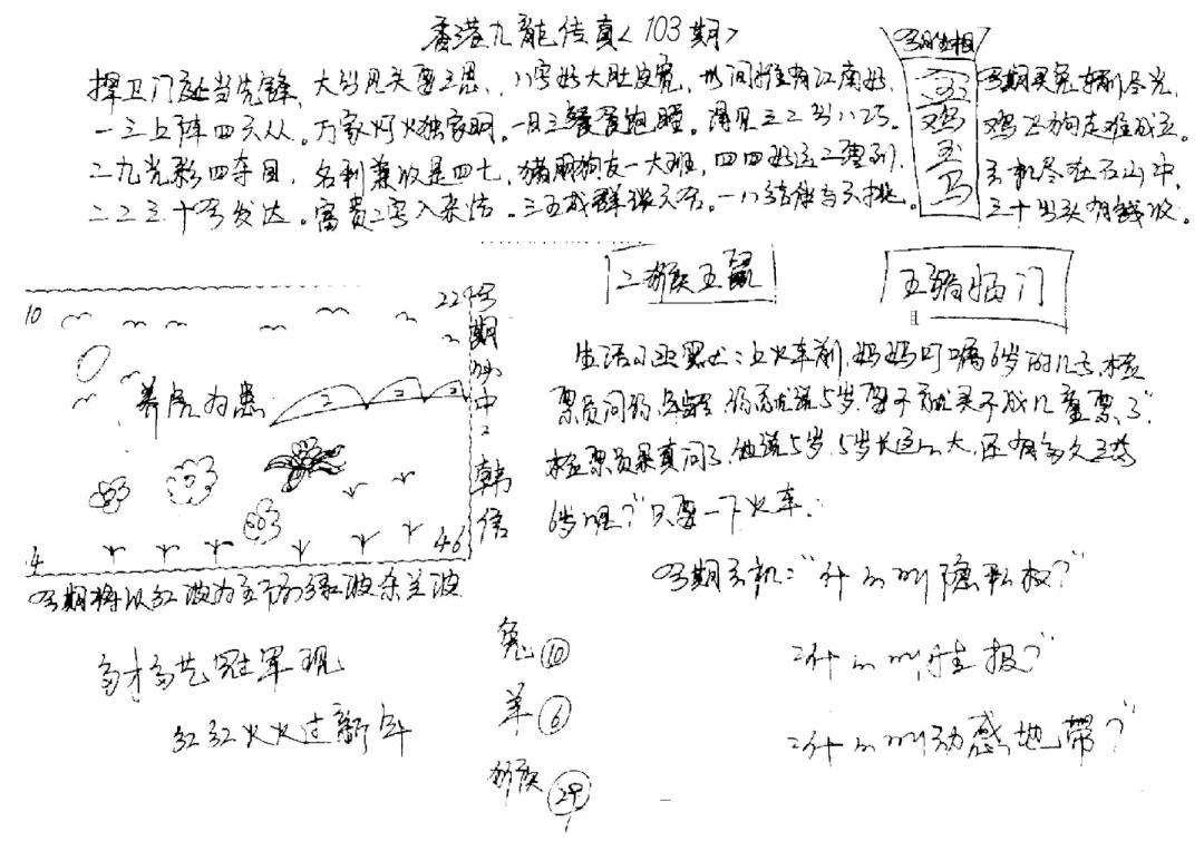六合彩103期正版手写九龙(黑白)