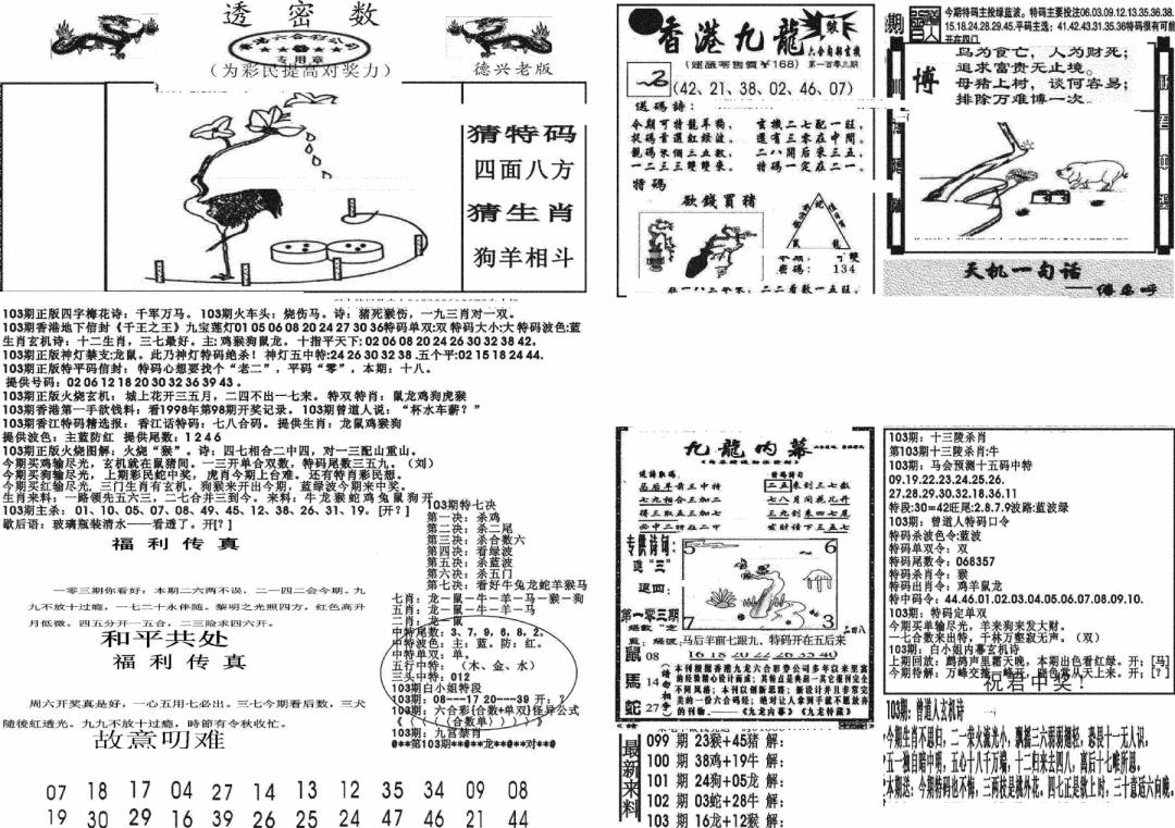 六合彩103期新透密数A(新)(黑白)
