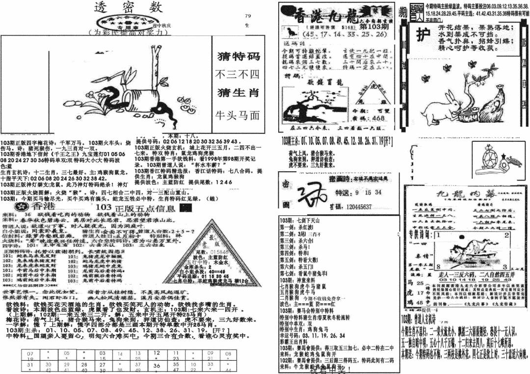 六合彩103期新透密数B(新)(黑白)