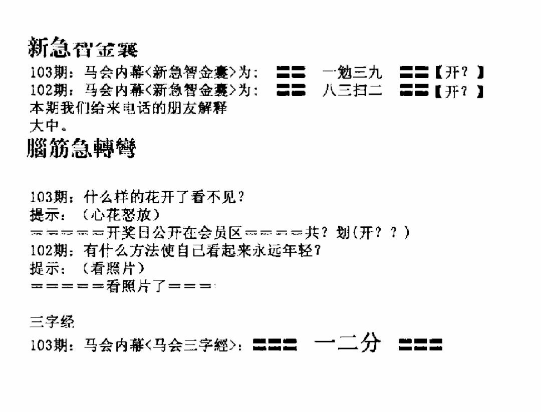 六合彩103期新急智金囊(黑白)