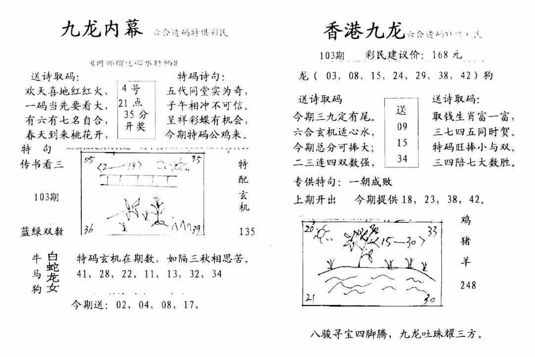 六合彩103期九龙内幕-开奖报(早图)(黑白)
