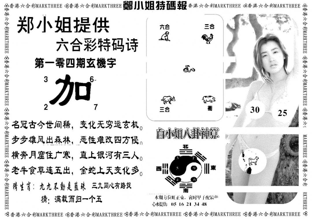 六合彩104期郑小姐特码报B(黑白)