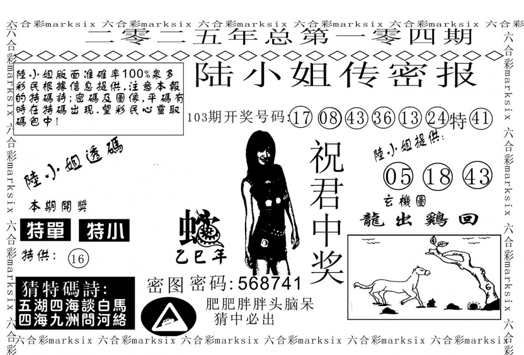 六合彩104期陆小姐传密A(黑白)