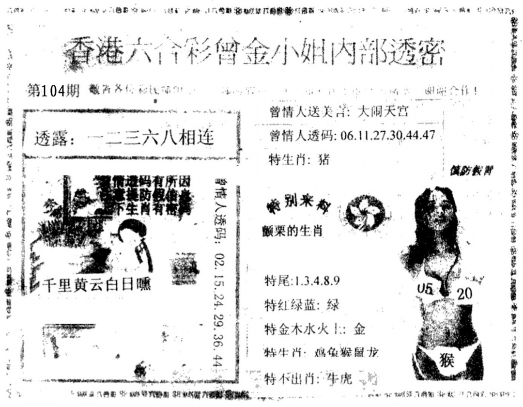 六合彩104期曾金小姐A(黑白)