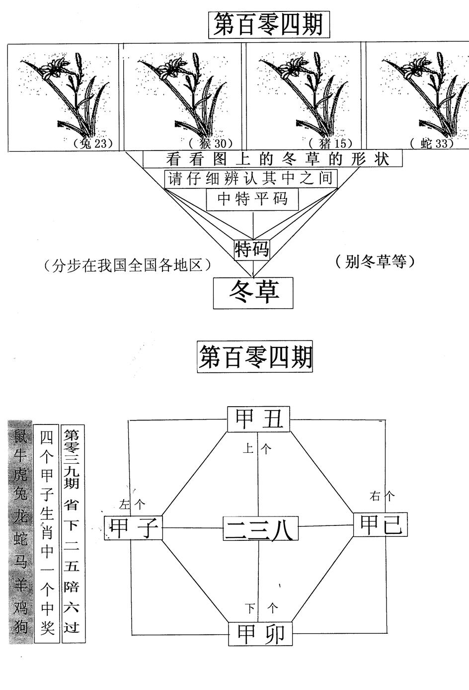 六合彩104期每期一花草(黑白)