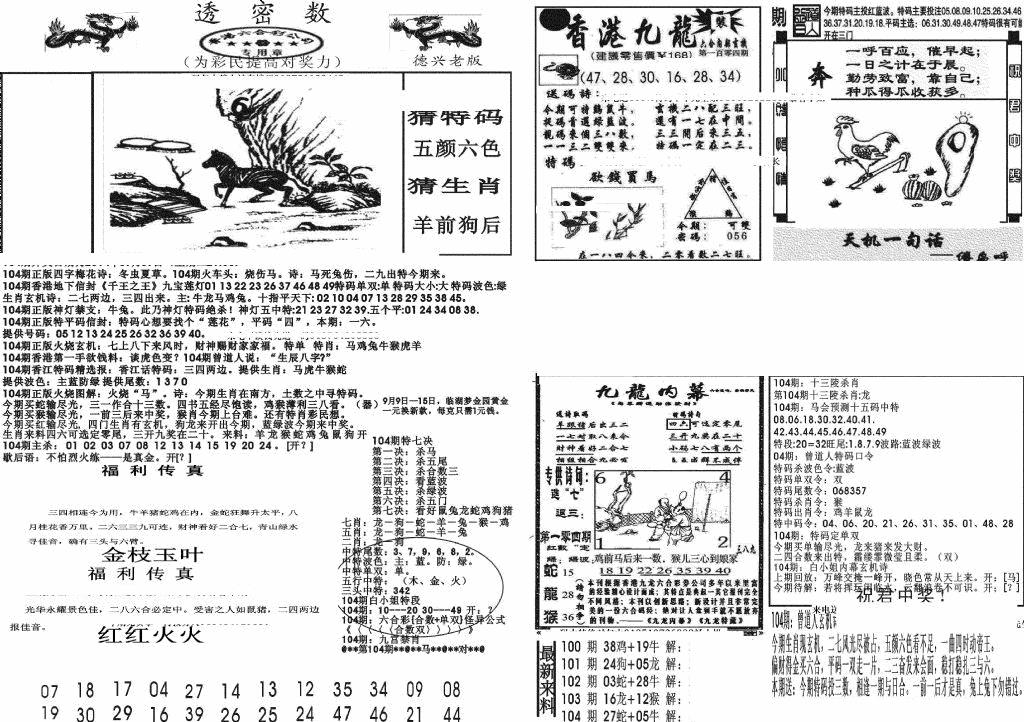 六合彩104期新透密数A(新)(黑白)