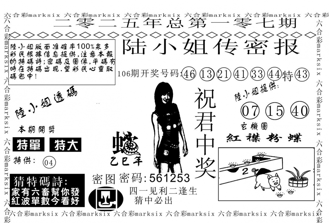 六合彩107期陆小姐传密A(黑白)