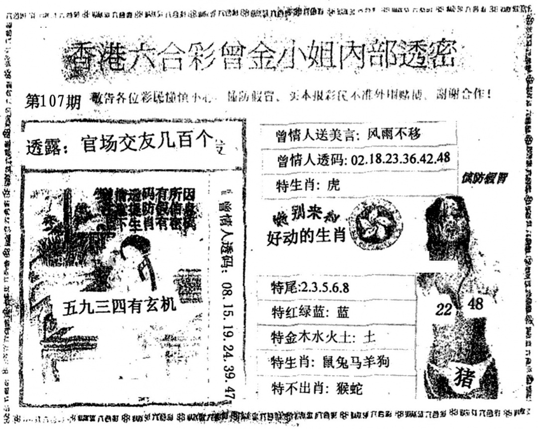 六合彩107期曾金小姐A(黑白)