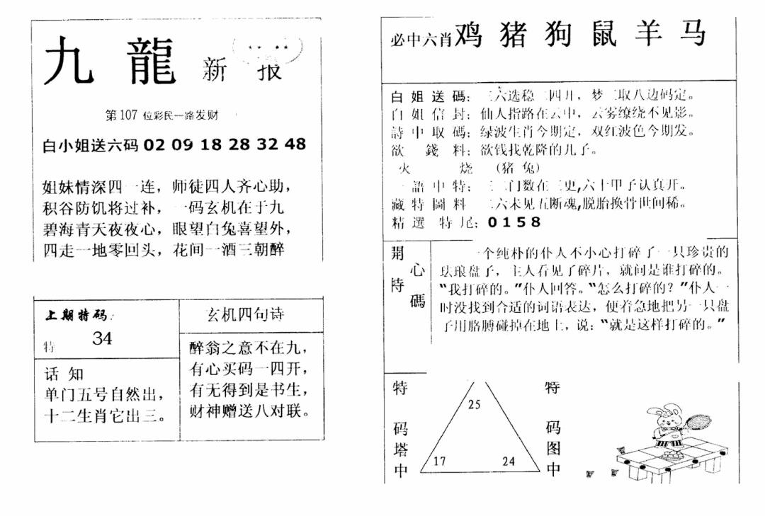 六合彩107期九龙新报(新)(黑白)