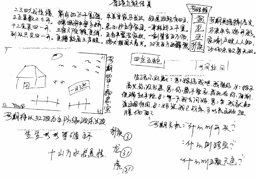 六合彩107期手写九龙内幕B(黑白)
