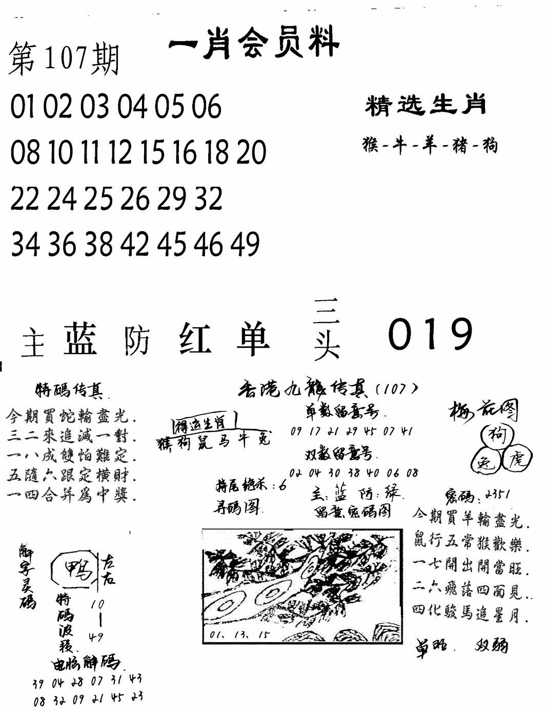 六合彩107期一肖会员料(黑白)