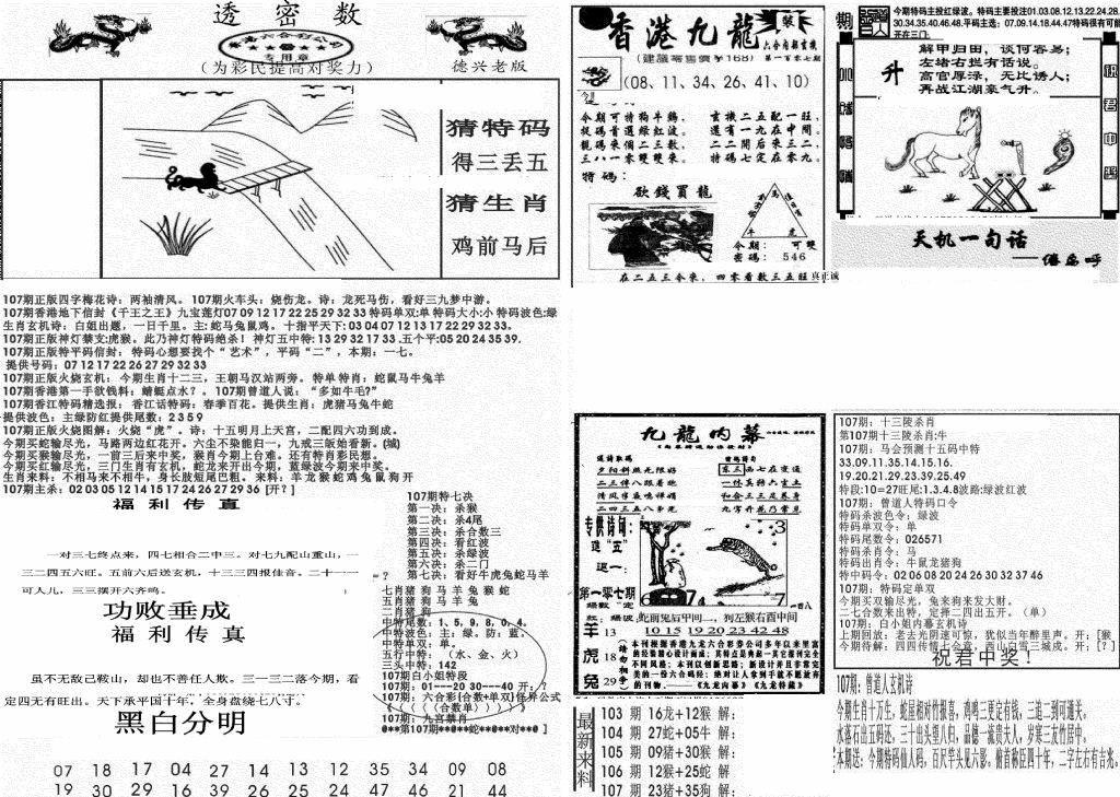 六合彩107期新透密数A(新)(黑白)