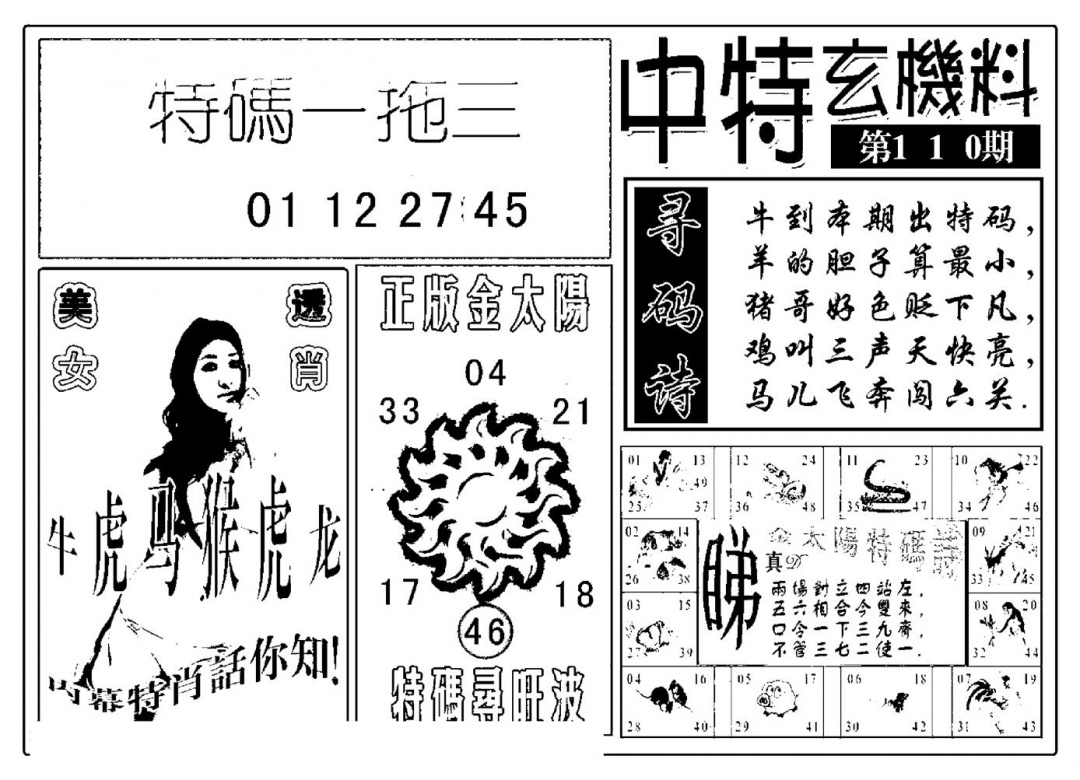 六合彩110期中特玄机料(新图)(黑白)