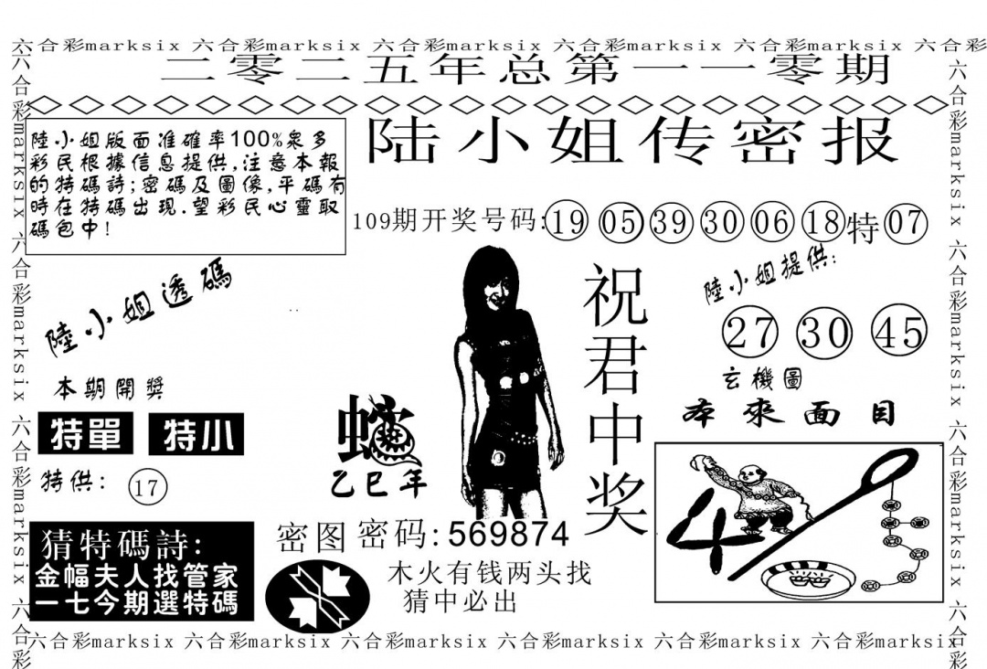 六合彩110期陆小姐传密A(黑白)