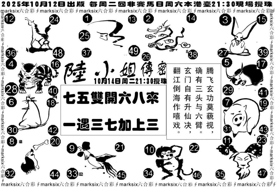 六合彩110期陆小姐传密B(黑白)