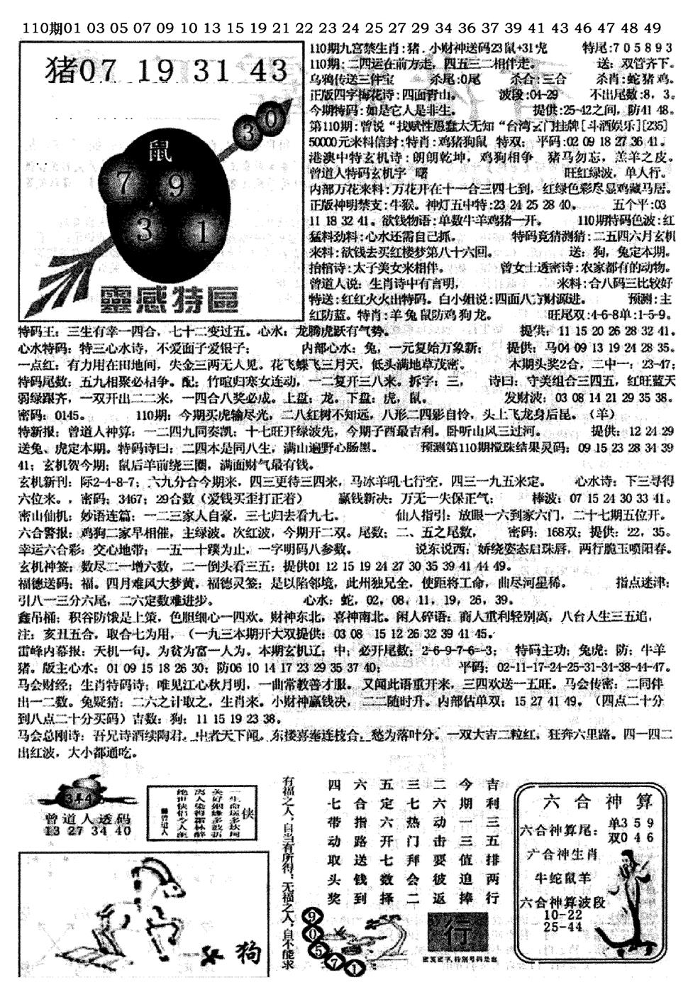 六合彩110期平西版彩霸王B(黑白)