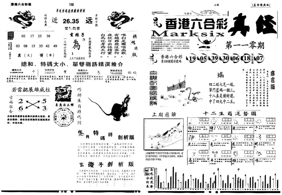 六合彩110期另真经A(黑白)