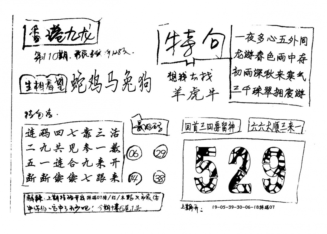 六合彩110期香港九龙(新图)手写(黑白)