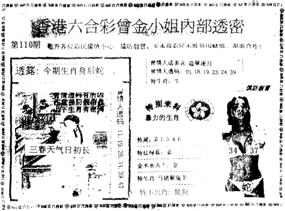 六合彩110期曾金小姐A(黑白)