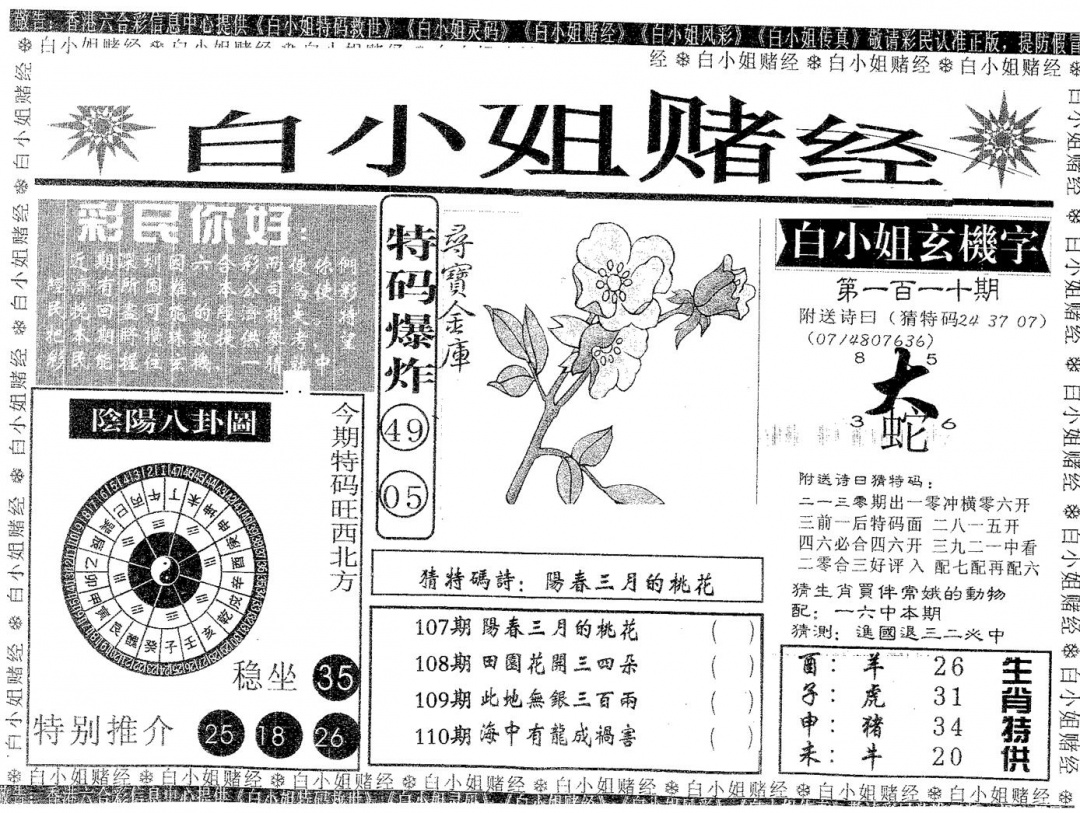 六合彩110期白姐赌经(黑白)