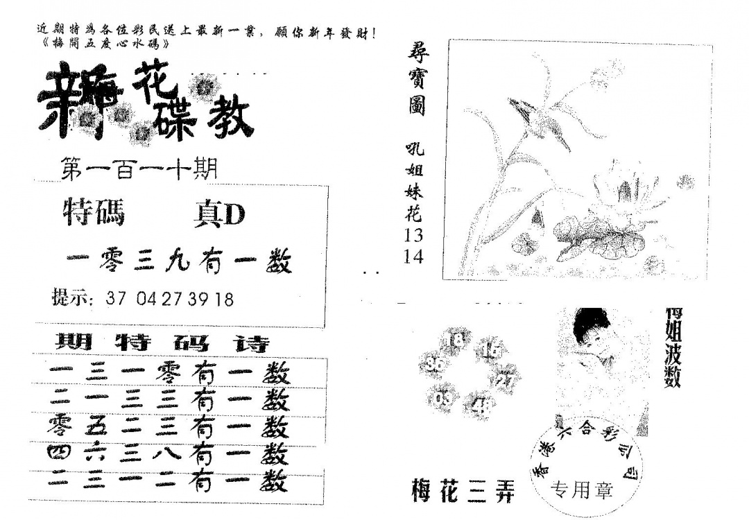 六合彩110期新花碟教(黑白)