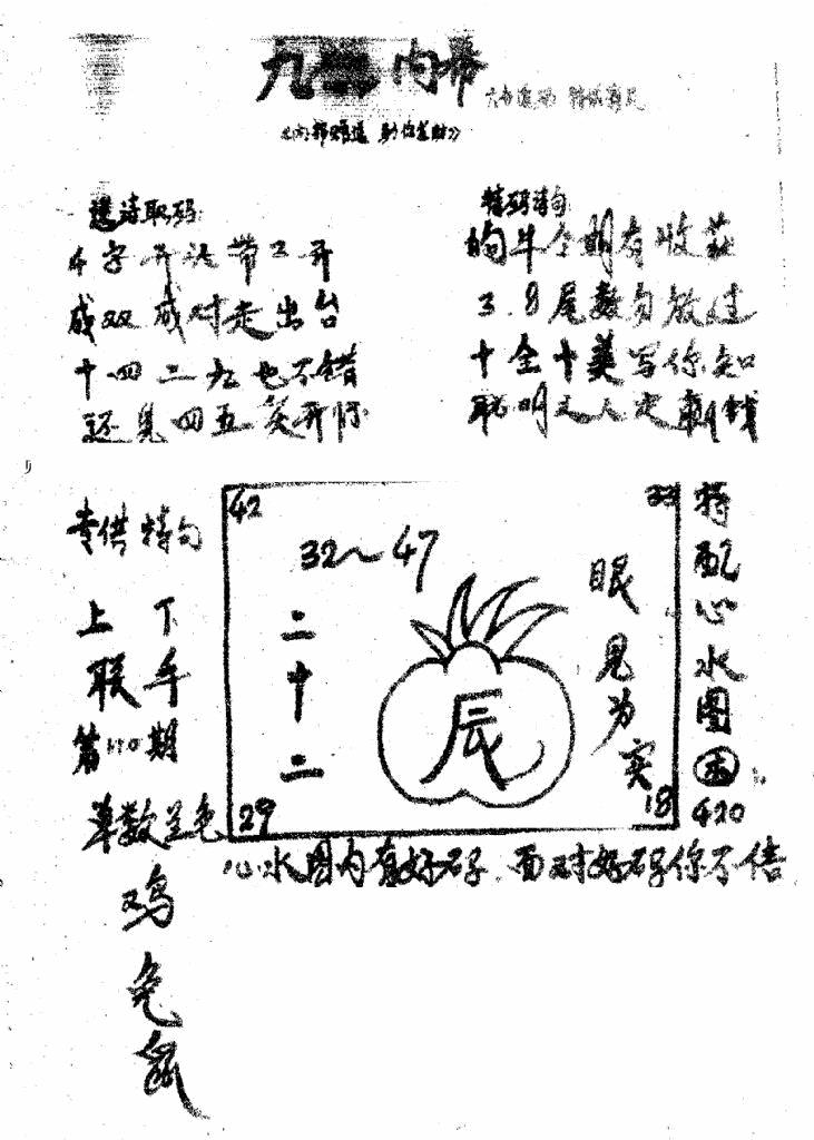 六合彩110期香港九龙传真3(手写版)(黑白)