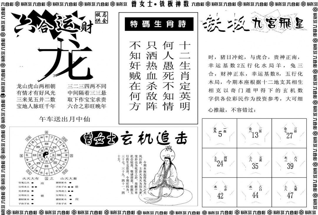 六合彩110期另版曾女士铁板B(黑白)