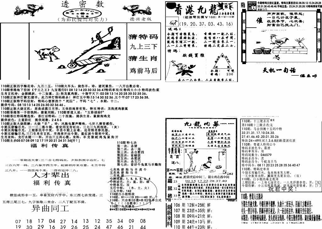 六合彩110期新透密数A(新)(黑白)