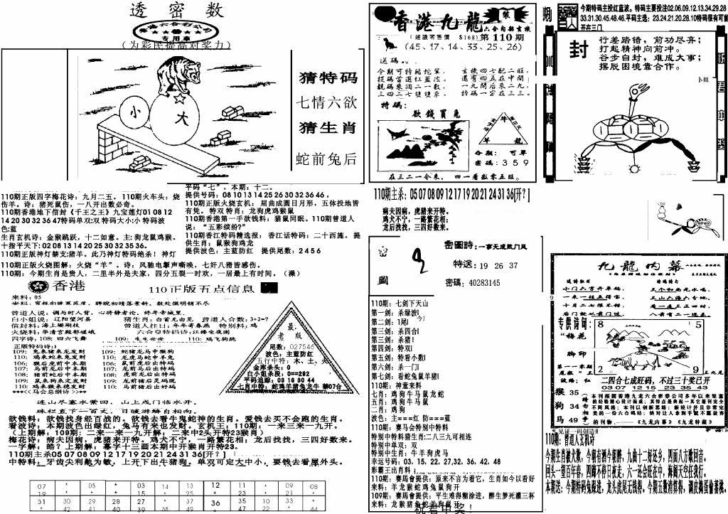 六合彩110期新透密数B(新)(黑白)