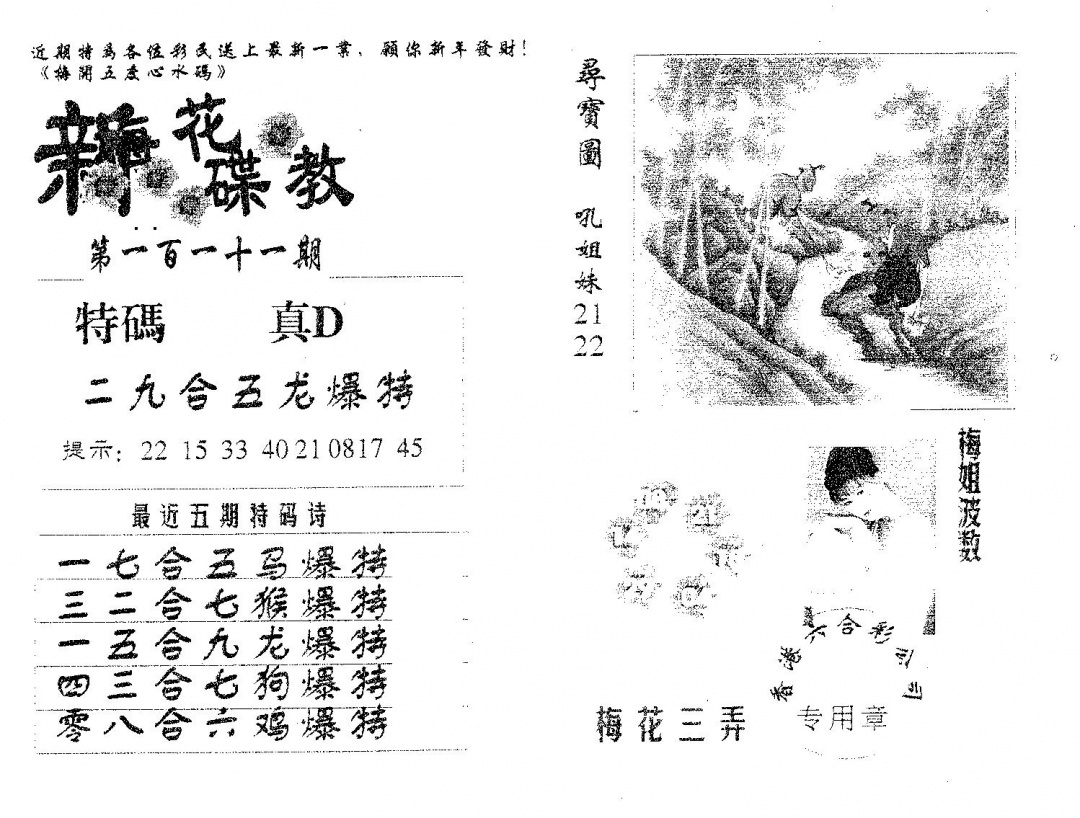 六合彩111期新花碟教(黑白)