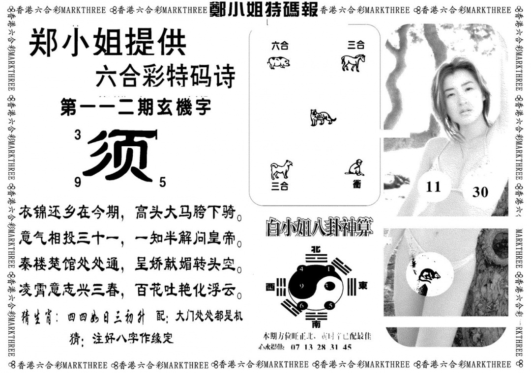 六合彩112期郑小姐特码报B(黑白)