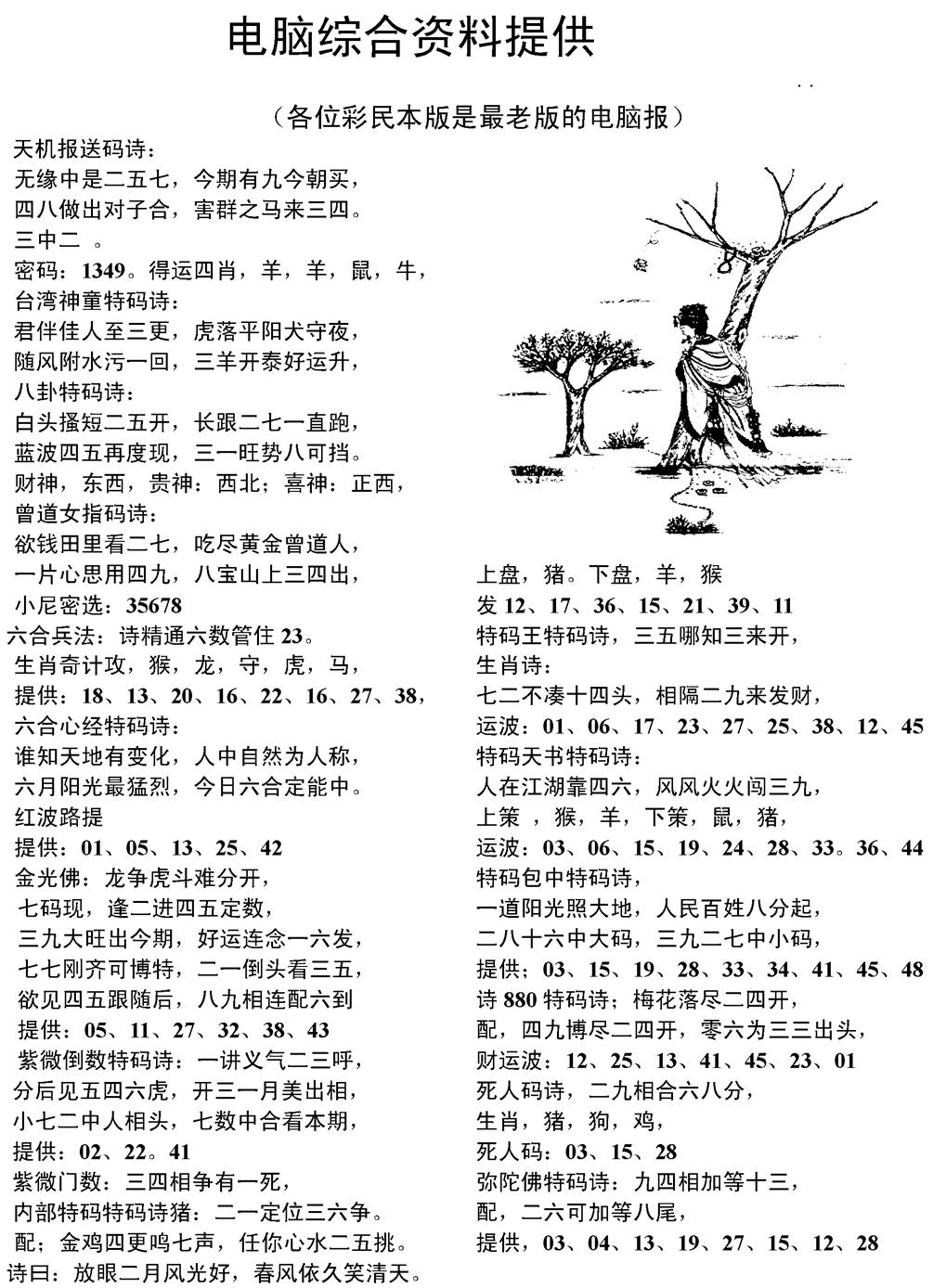 六合彩113期当日电脑综合资料C(黑白)