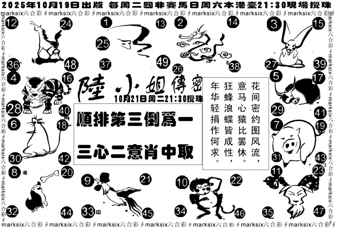 六合彩113期陆小姐传密B(黑白)