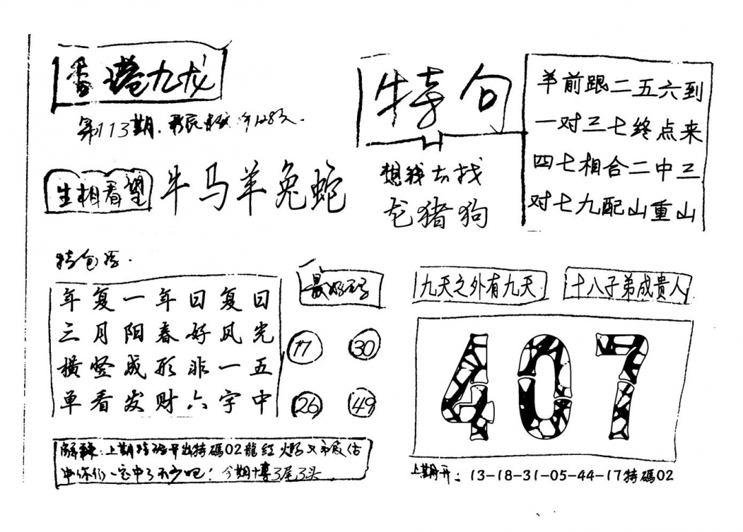 六合彩113期香港九龙(新图)手写(黑白)
