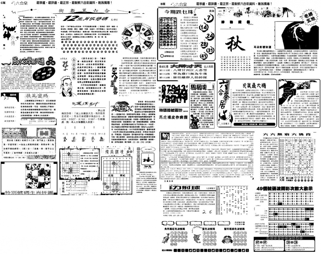 六合彩113期另版六合皇B(黑白)